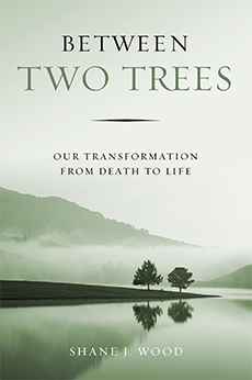 Between Two Trees | Leafwood Publishers